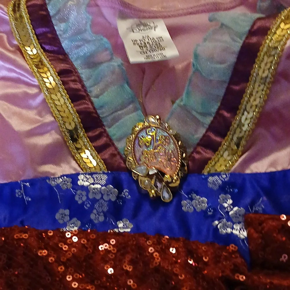 Disney Princess Mulan Dress Costume